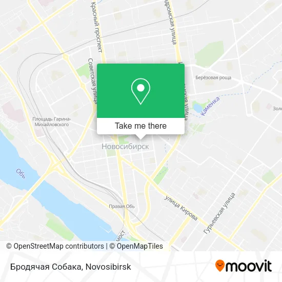 Бродячая Собака map