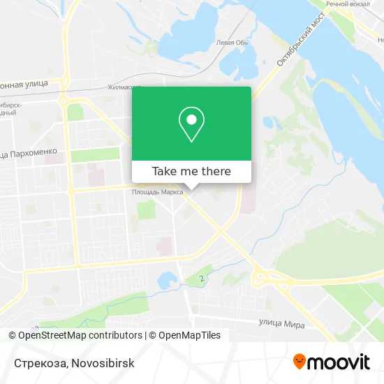 Стрекоза map