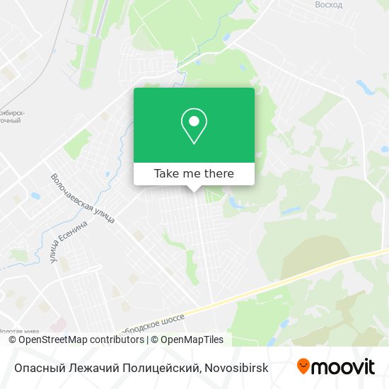 Опасный Лежачий Полицейский map