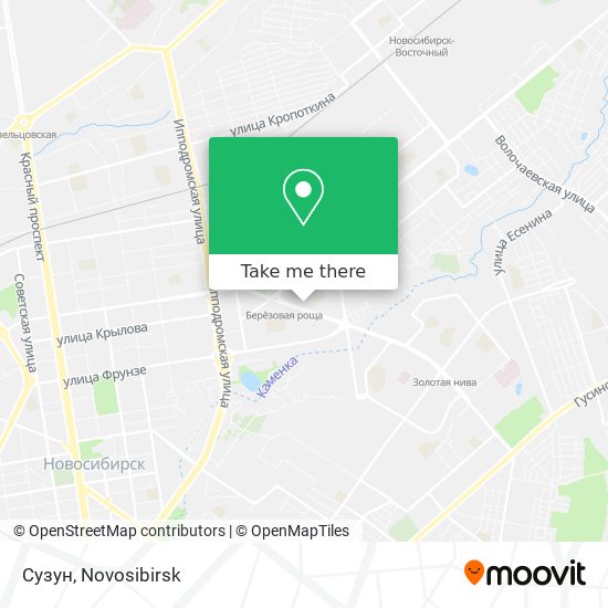 Сузун map