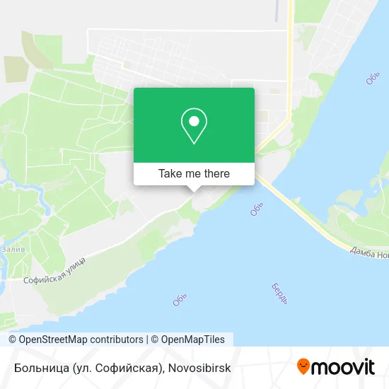 Больница (ул. Софийская) map