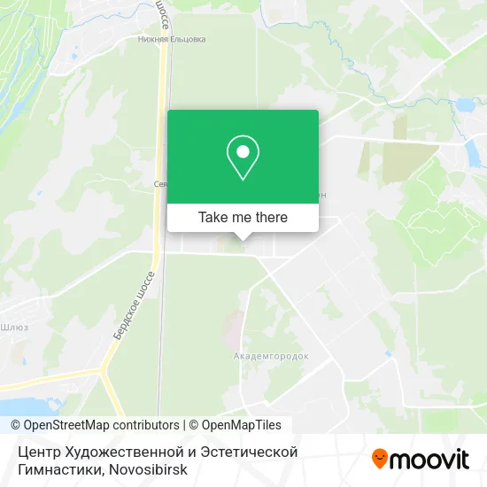 Центр Художественной и Эстетической Гимнастики map