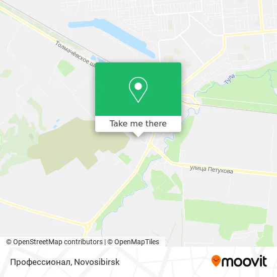 Профессионал map