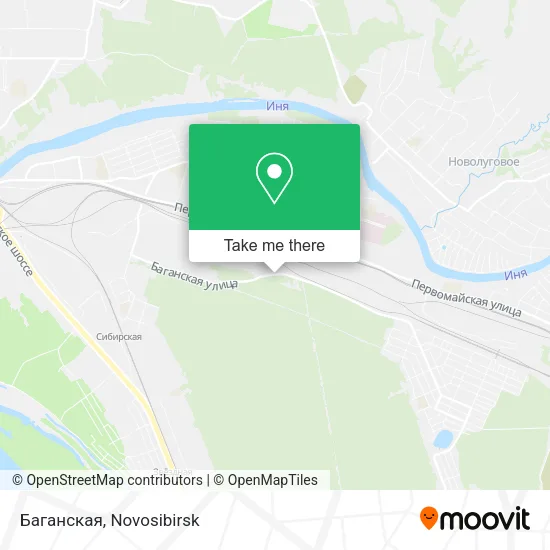 Баганская map