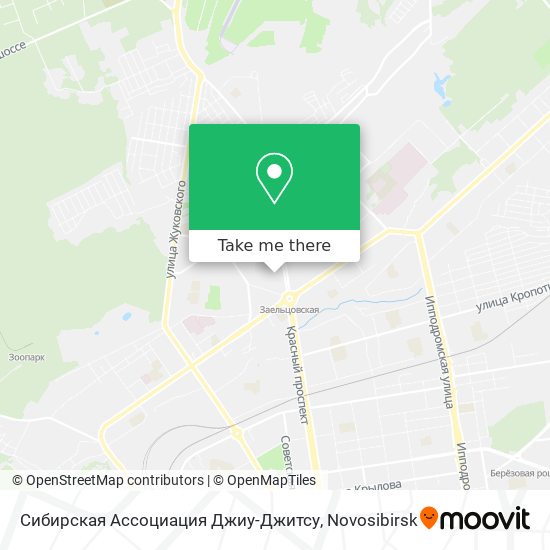 Сибирская Ассоциация Джиу-Джитсу map