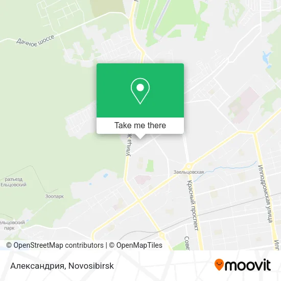 Александрия map