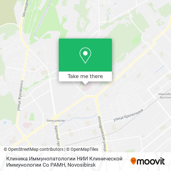 Клиника Иммунопатологии НИИ Клинической Иммунологии Со РАМН map