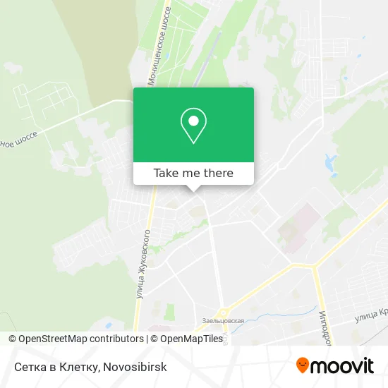 Сетка в Клетку map