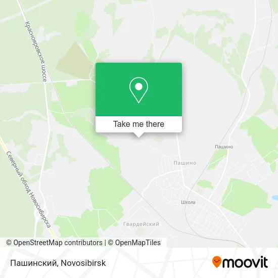 Пашинский map