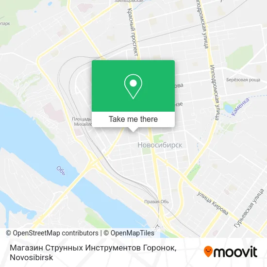 Магазин Струнных Инструментов Горонок map