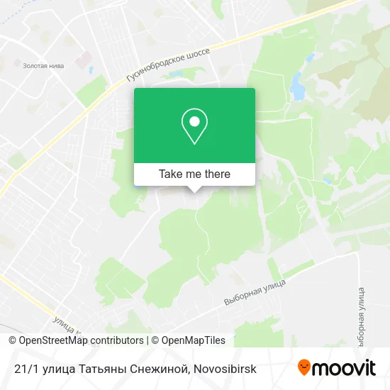21/1 улица Татьяны Снежиной map