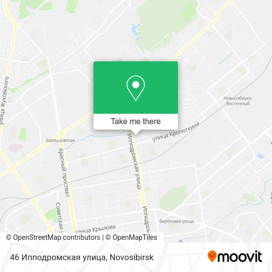 46 Ипподромская улица map