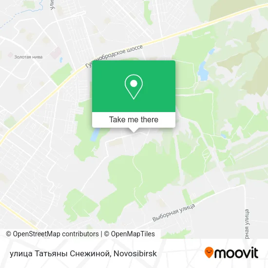 улица Татьяны Снежиной map