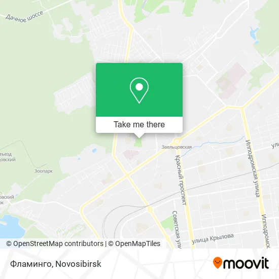 Фламинго map