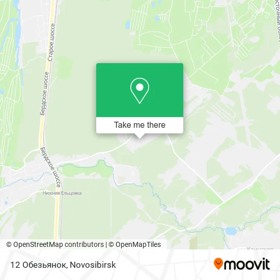 12 Обезьянок map