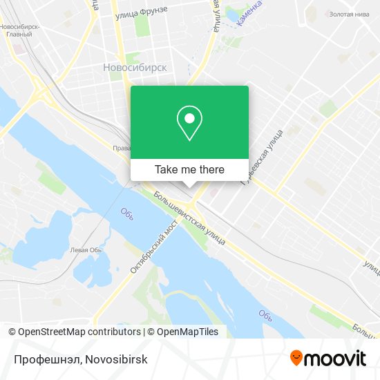 Профешнэл map