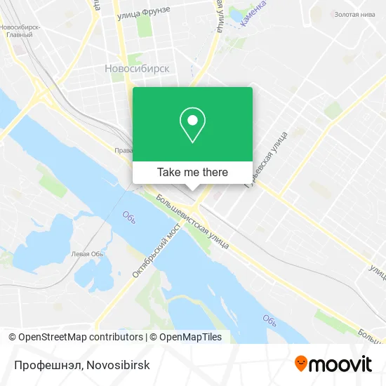 Профешнэл map
