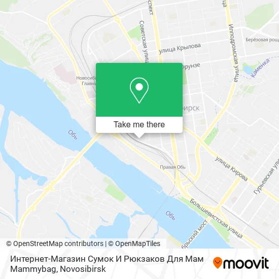 Интернет-Магазин Сумок И Рюкзаков Для Мам Mammybag map