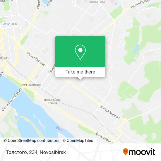 Толстого, 234 map