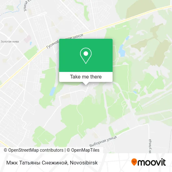Мжк Татьяны Снежиной map