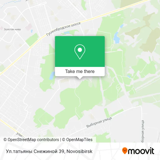 Ул.татьяны Снежиной 39 map