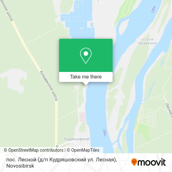 пос. Лесной (д / п Кудряшовский ул. Лесная) map