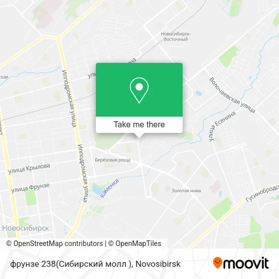 фрунзе 238(Сибирский молл ) map