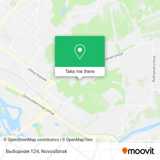 Выборная 124 map