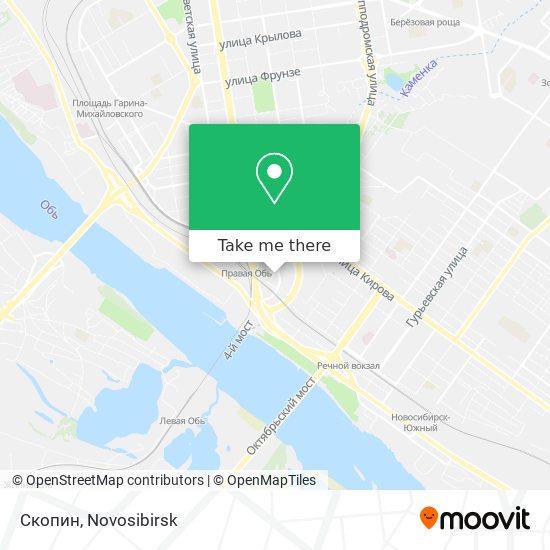 Скопин map