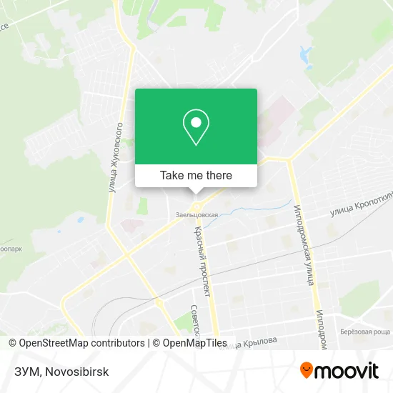 ЗУМ map