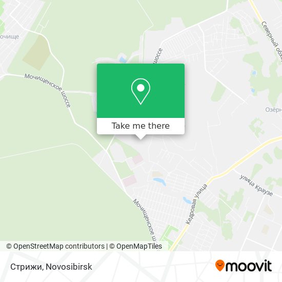 Стрижи map
