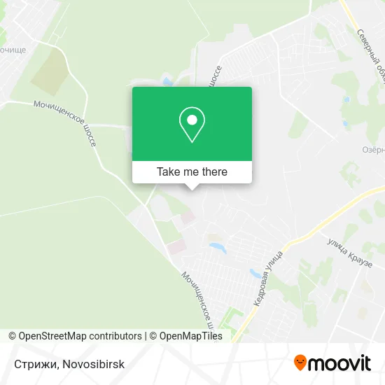 Стрижи map