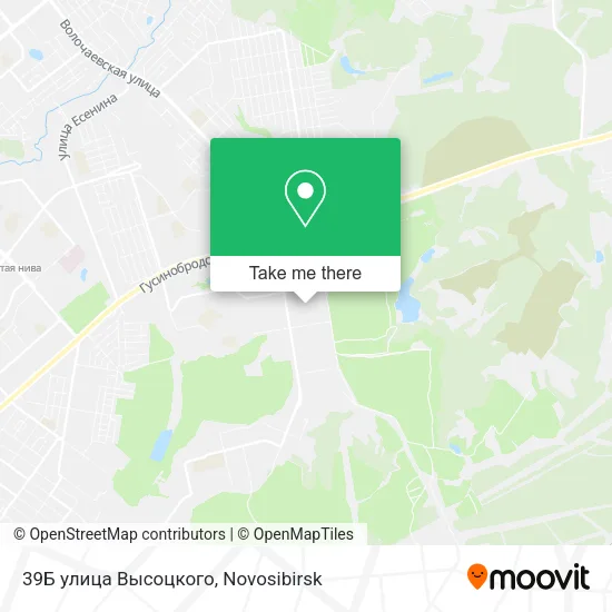 39Б улица Высоцкого map