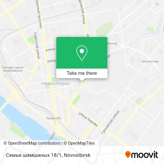 Семьи шамшиных 18/1 map
