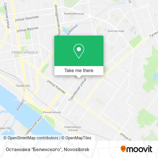 Остановка "Белинского" map