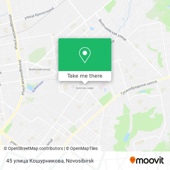 45 улица Кошурникова map