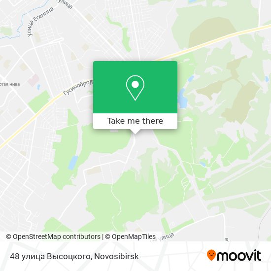 48 улица Высоцкого map