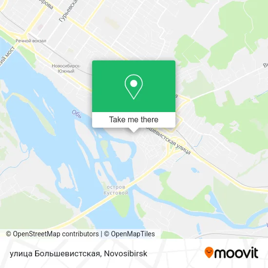 улица Большевистская map