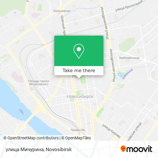 улица Мичурина map