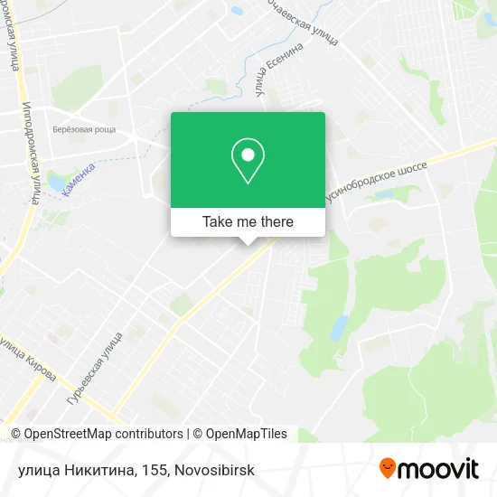 улица Никитина, 155 map