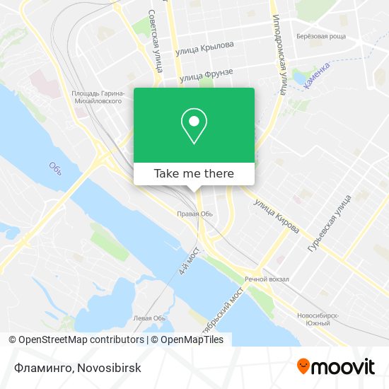 Фламинго map