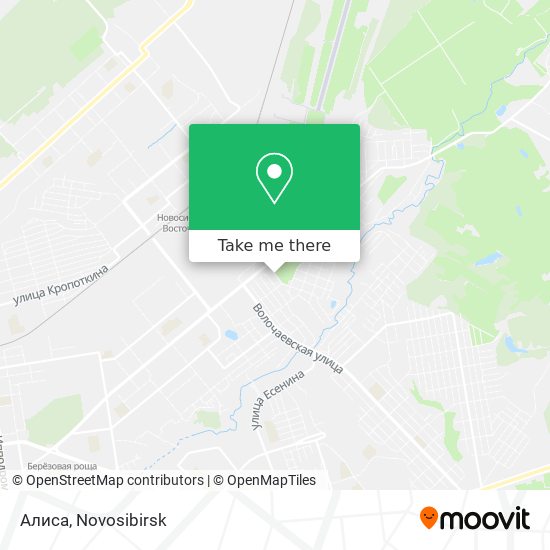 Алиса map