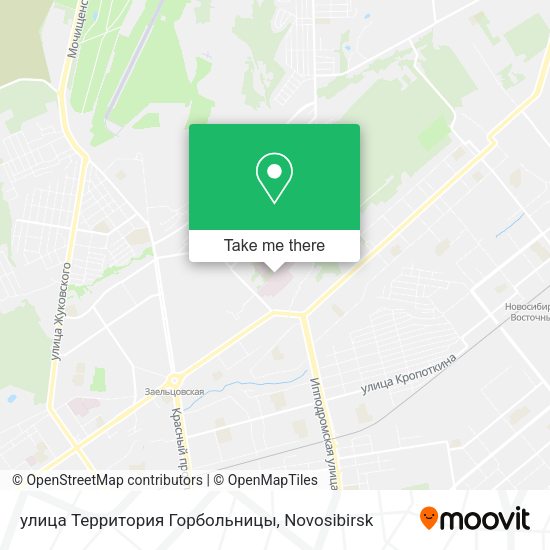 улица Территория Горбольницы map