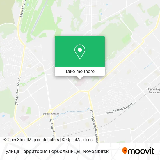 улица Территория Горбольницы map