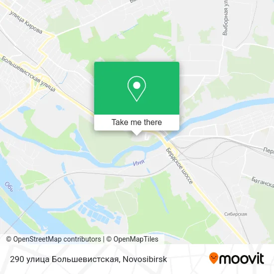 290 улица Большевистская map