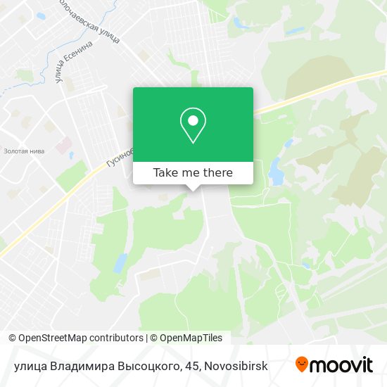 улица Владимира Высоцкого, 45 map