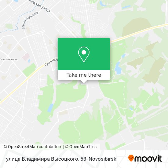 улица Владимира Высоцкого, 53 map