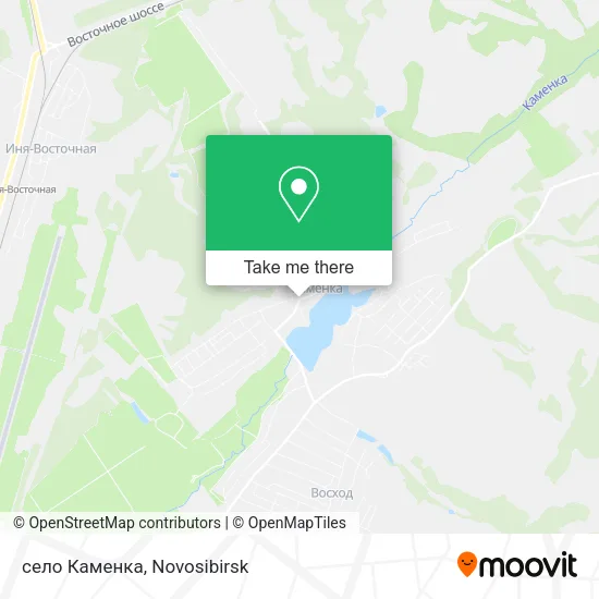 село Каменка map