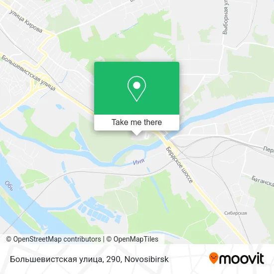 Большевистская улица, 290 map