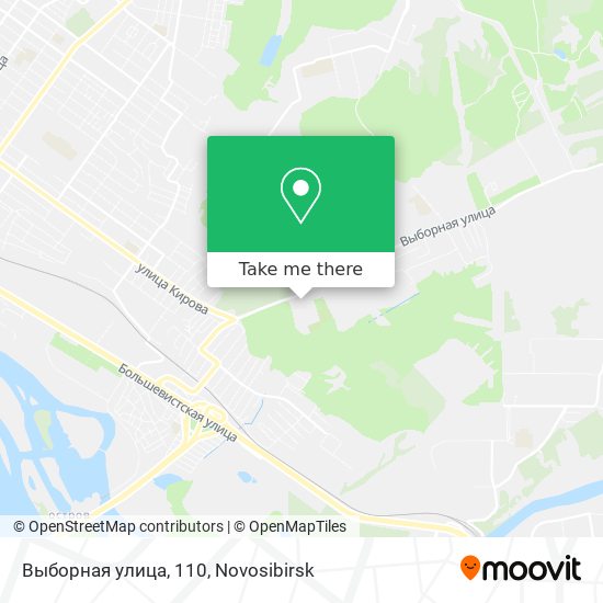 Выборная улица, 110 map